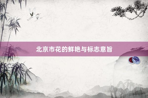 北京市花的鲜艳与标志意旨