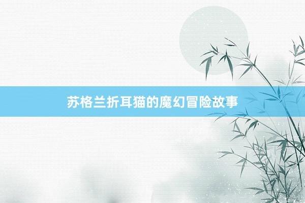 苏格兰折耳猫的魔幻冒险故事
